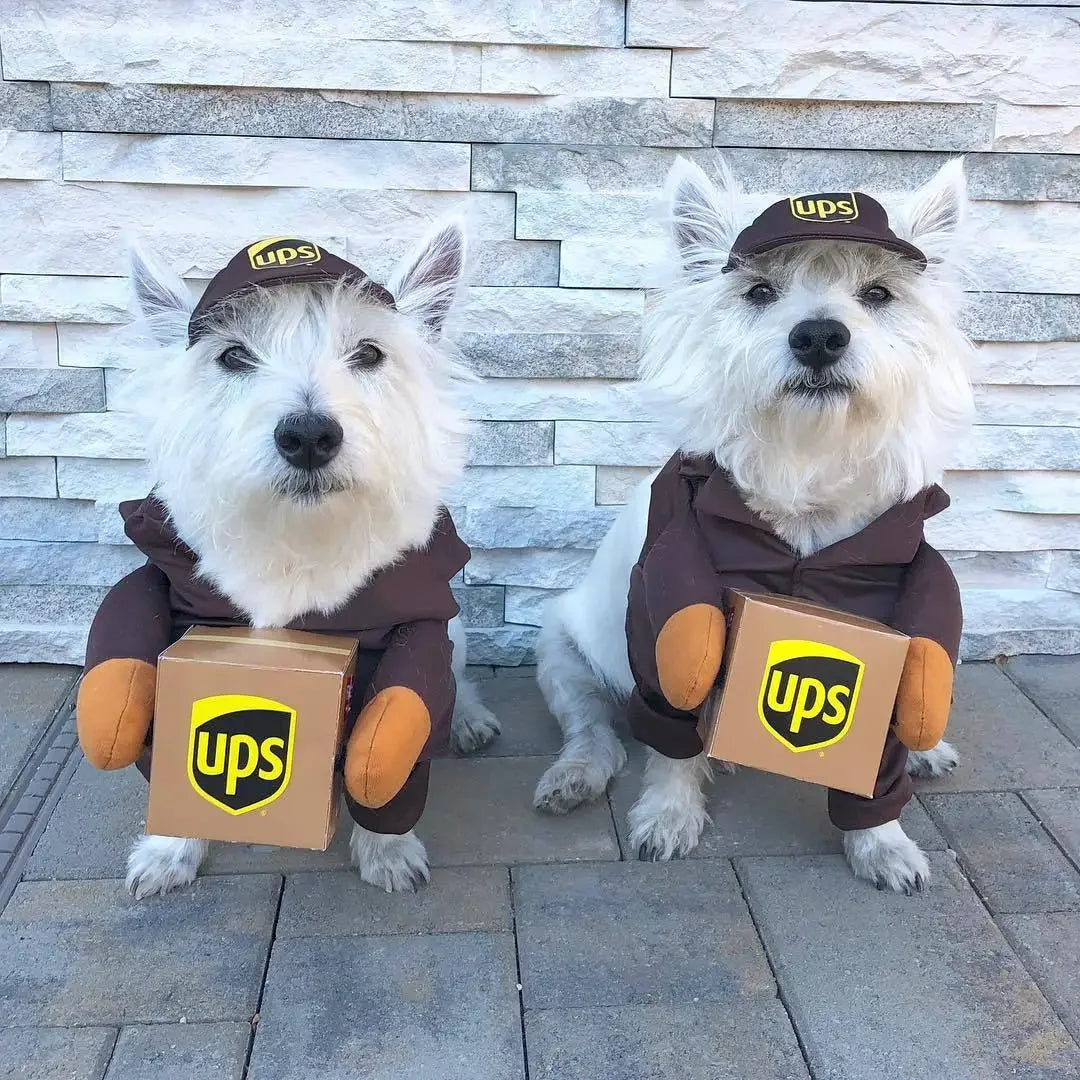 Furry Express
