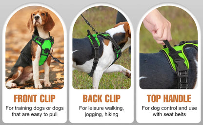 GlowPup LED Harness - SwagPets 