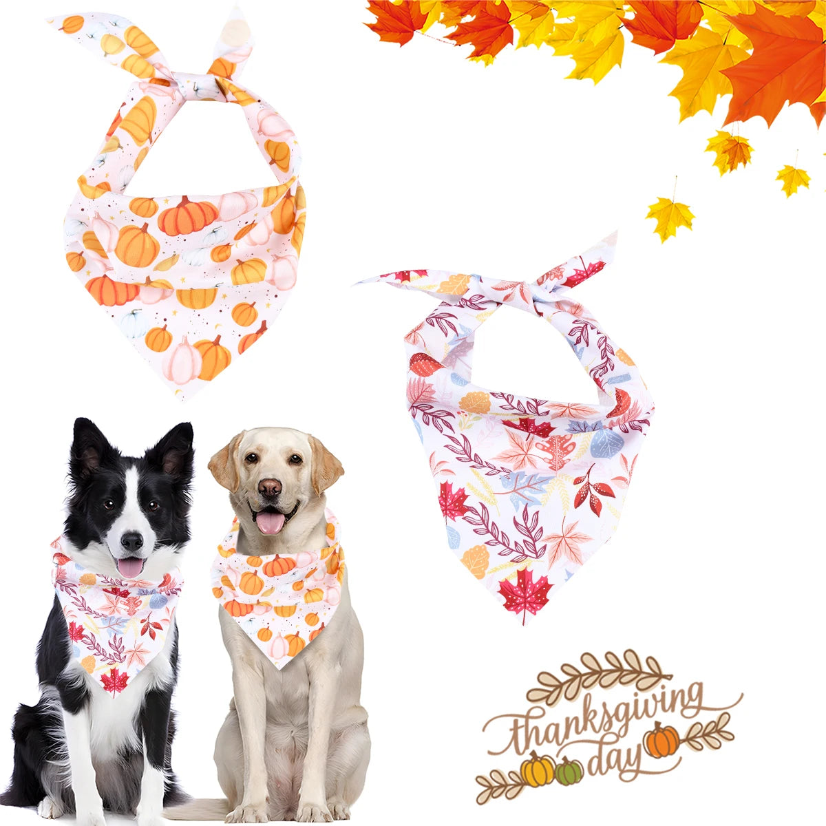 Precious Pumpkin Bandanas