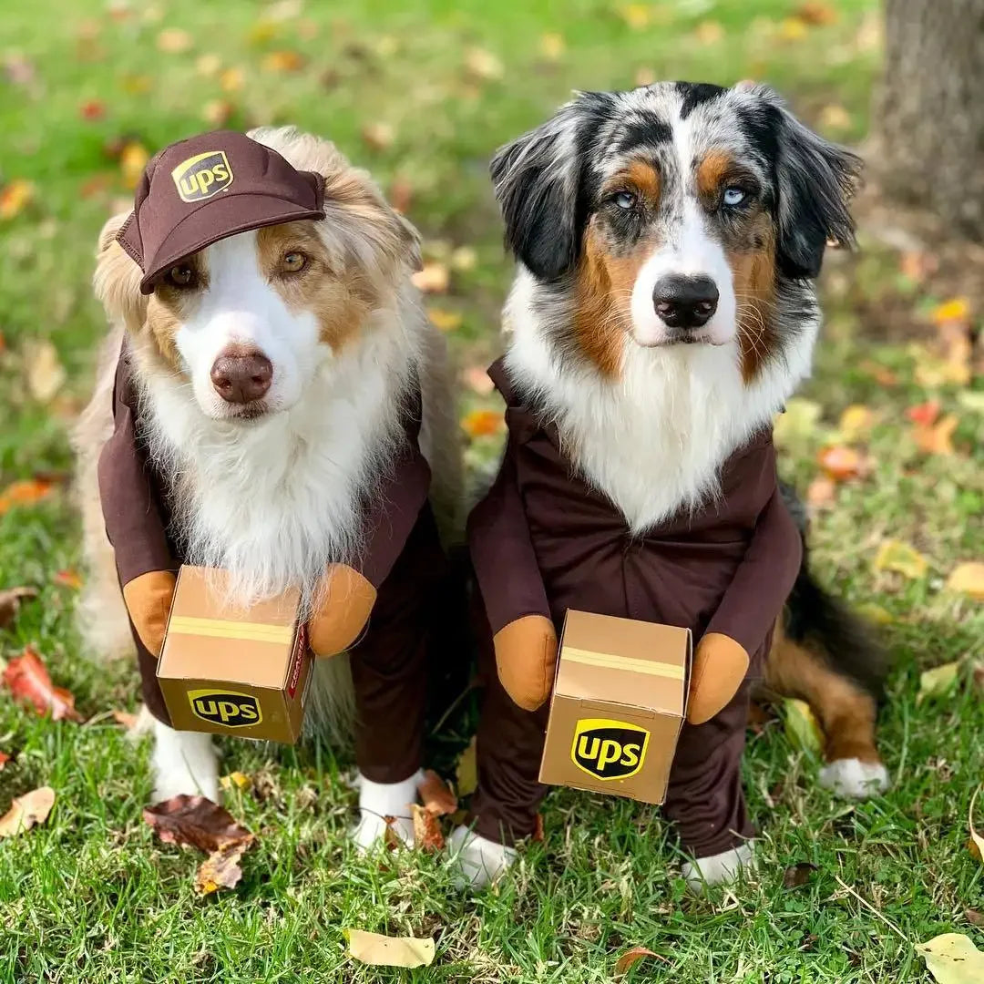 Furry Express