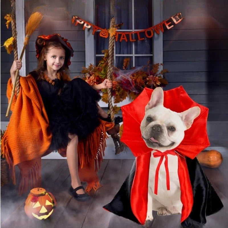 Batty Paws Pupper Cape