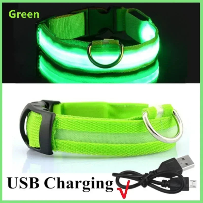GlowPup LED Collar