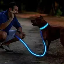 GlowPup LED Collar