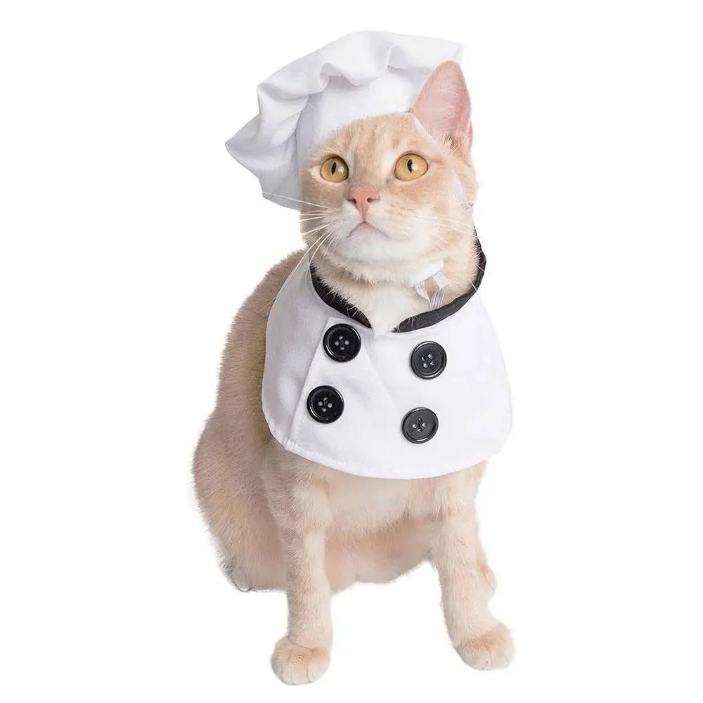 Culinary Cutie