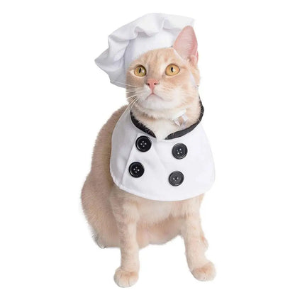 Chef Cutie - SwagPets 