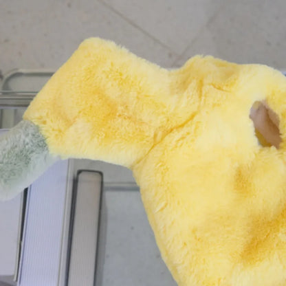 Cutie Fruit Pup - SwagPets 