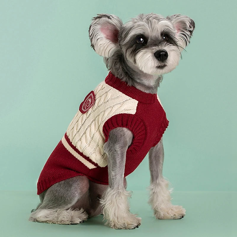 Cozy Paws Knit Sweater