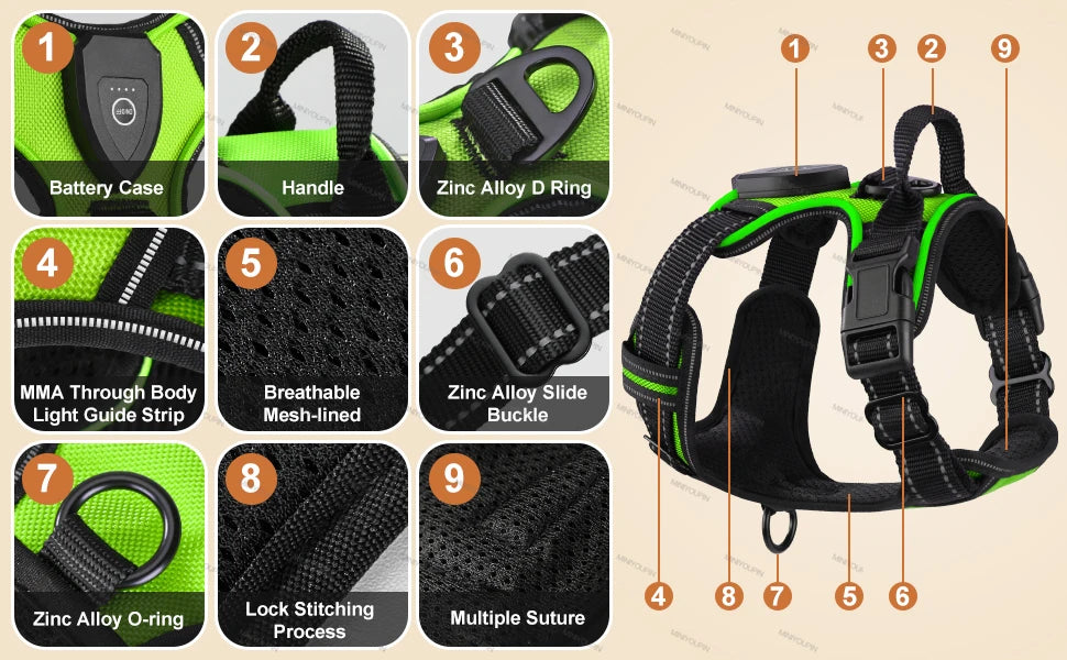 GlowPup LED Harness