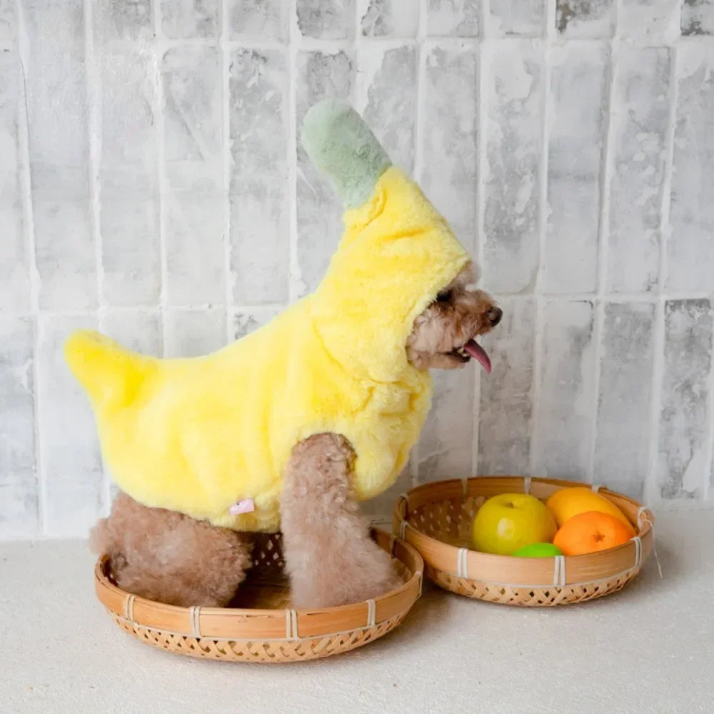 Cutie Fruit Pup
