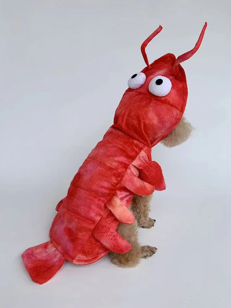 Lobster Paws