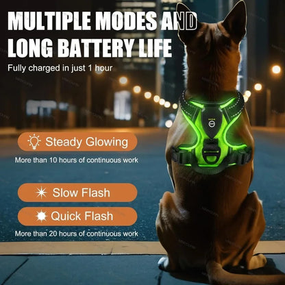 GlowPup LED Harness - SwagPets 