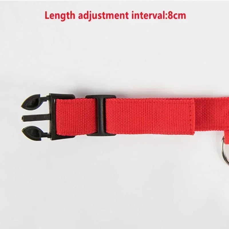 GlowPup LED Collar