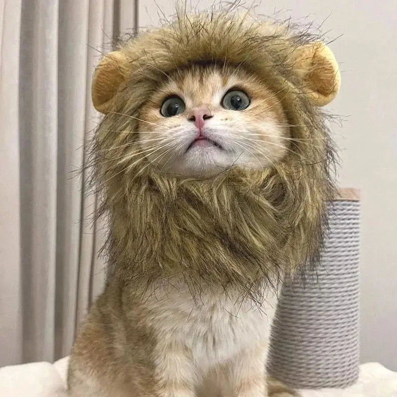 Roar & Purr