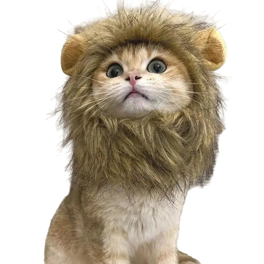 Roar & Purr - SwagPets 