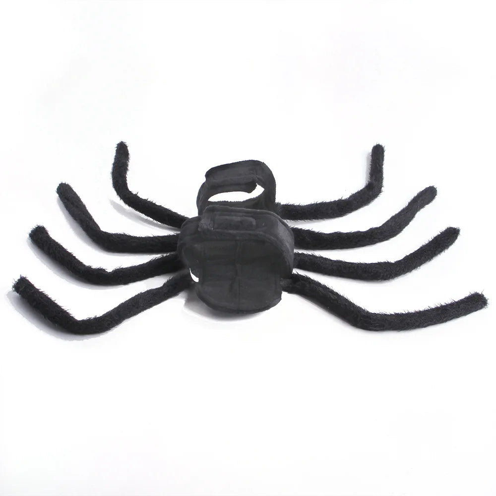 Web Walker