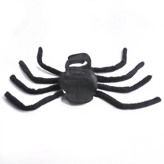 Web Walker