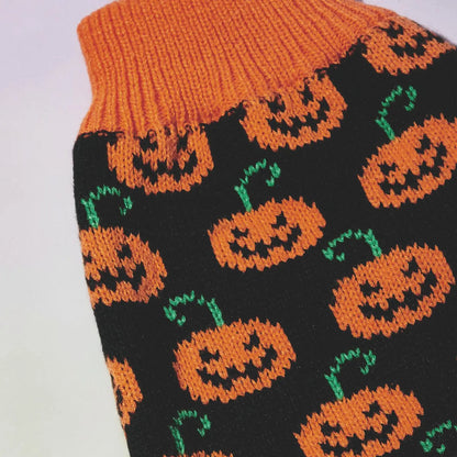 Pumpkin Paws Turtleneck Sweater - SwagPets 