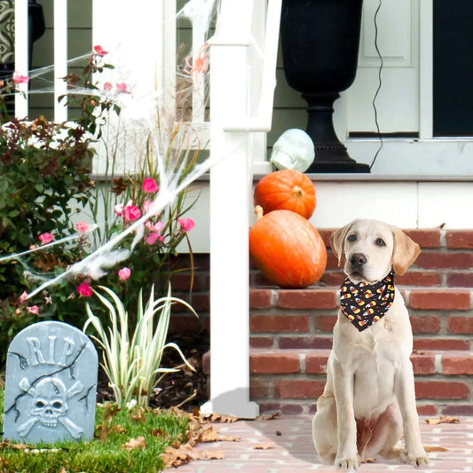 Spooky Paws Bandana