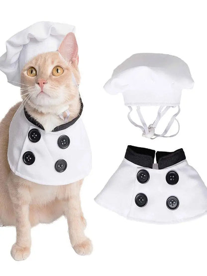 Chef Cutie - SwagPets 