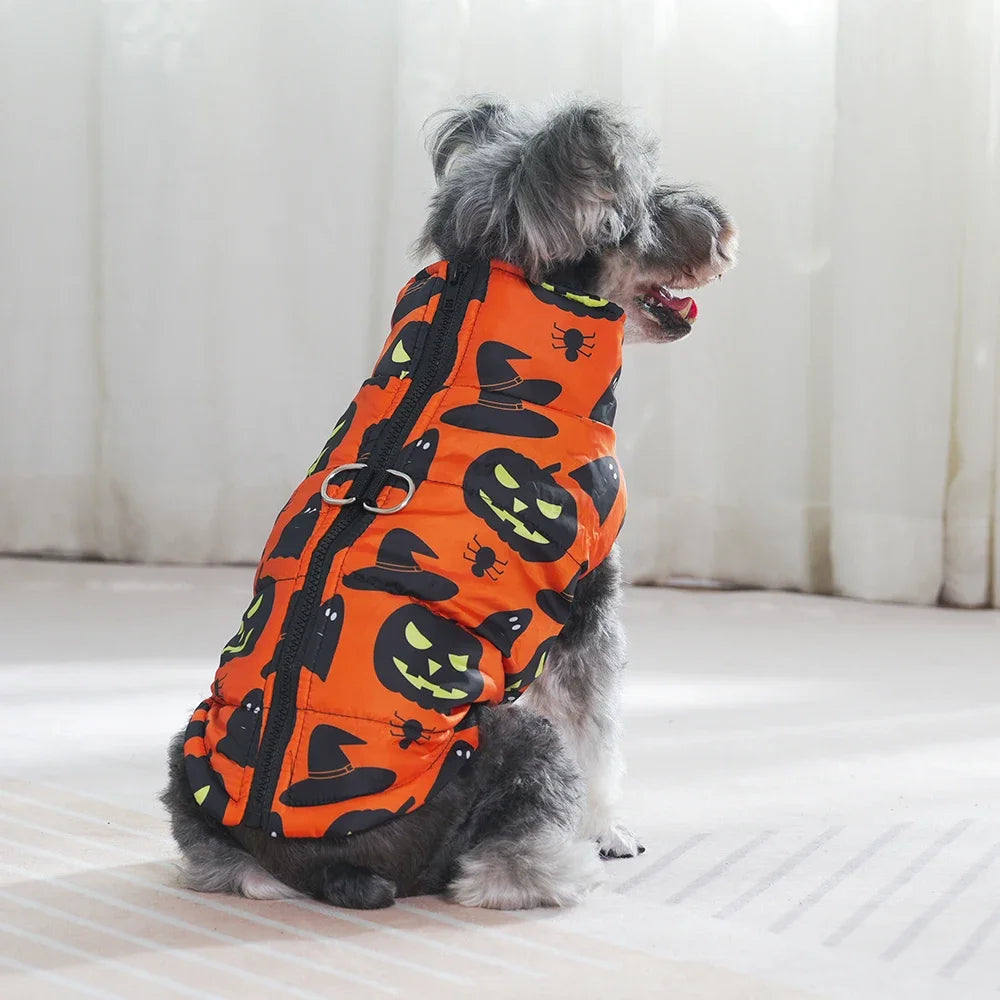 Fang-tastic Fall Jacket