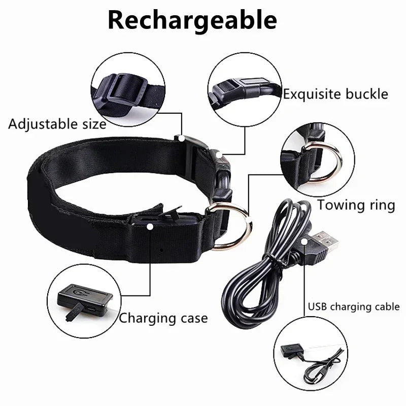 GlowPup LED Collar